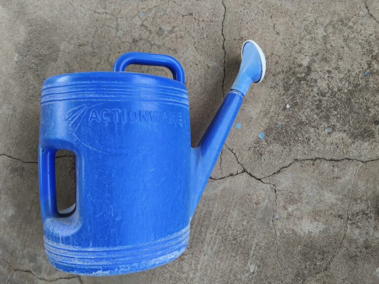 Large 10-litre watering can used in a terrace container garden for watering multiple large pots and mature plants with even moisture distribution.