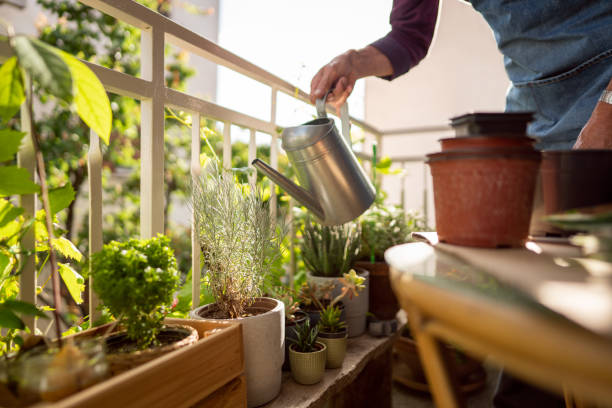 Gardener watering balcony container plants after checking soil moisture to prevent overwatering and underwatering with a flexible watering routine