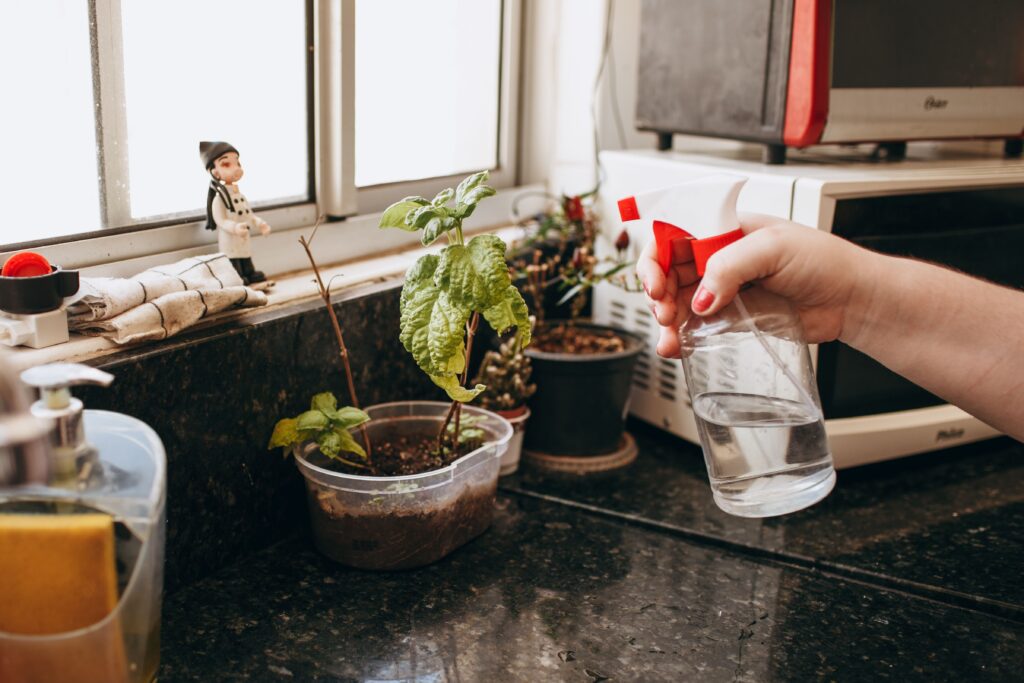 Gardener watering a potted plant while checking soil moisture, showing why watering frequency changes in container plants based on weather, pot size, and growing conditions