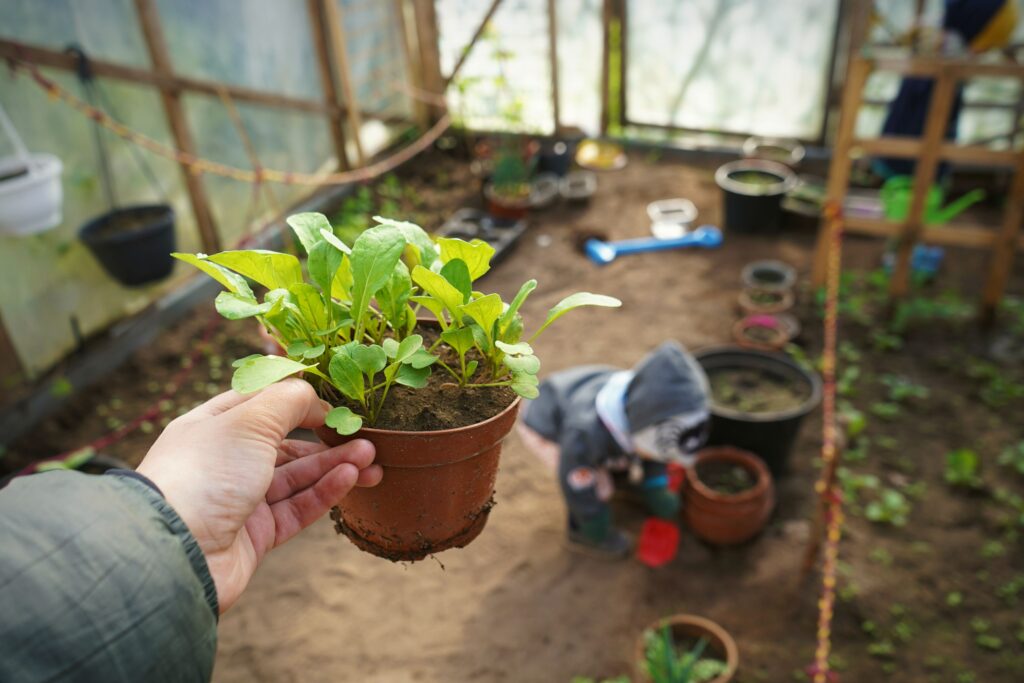 Container gardener holding a healthy potted plant while checking the best sunlight location in a balcony or terrace garden instead of moving container plants daily.