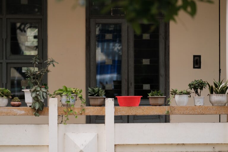 Container plants arranged by sunlight needs on a balcony, showing proper plant placement for better sunlight without moving pots every day.