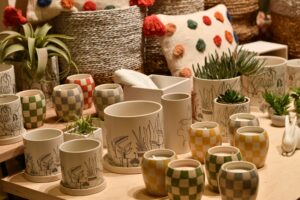 Assorted decorative plant pots in different sizes for choosing the right pot size for container plants