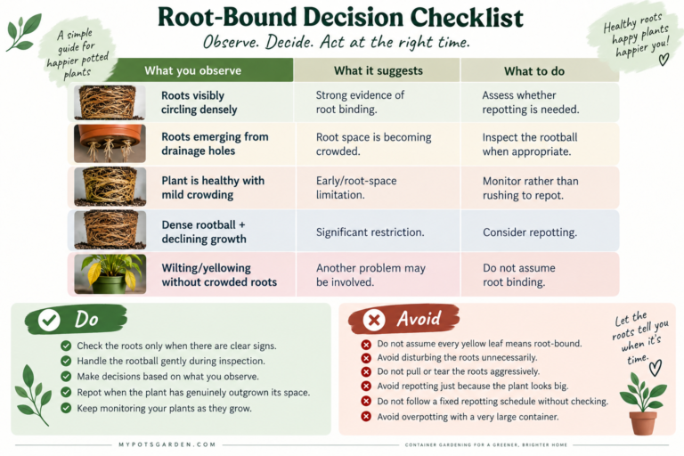 Preventing severe root binding by monitoring root growth and available space in potted plants