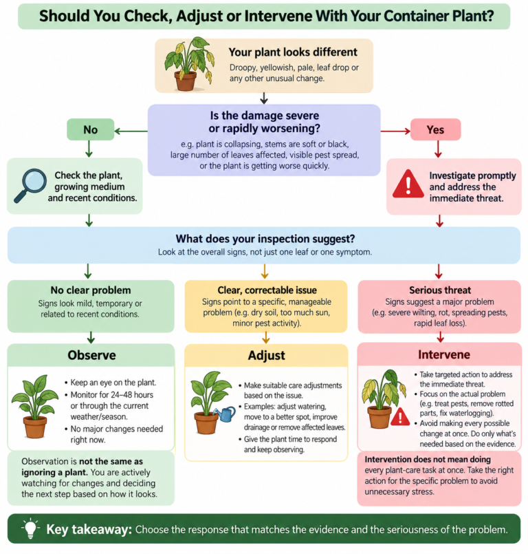 Decision tree showing when to check, adjust, or intervene with container plants based on plant symptoms, growing conditions, and problem severity.