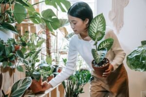Woman inspecting potted plants and checking their condition in a bright indoor container garden.
