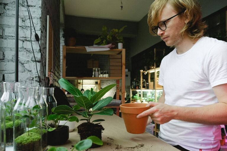 Gardener examining a potted plant's exposed root ball before repotting to understand its growing conditions and potential plant health issues.